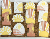 First trip around the sun birthday theme sugar cookies - 1 Dozen