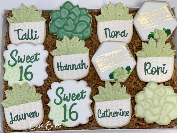 Succulent Birthday Sugar cookies - 1 Dozen