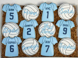 Volleyball themed Sugar Cookies - 1 Dozen