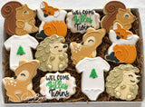 Woodland Baby Shower sugar cookies (2)- 1 Dozen