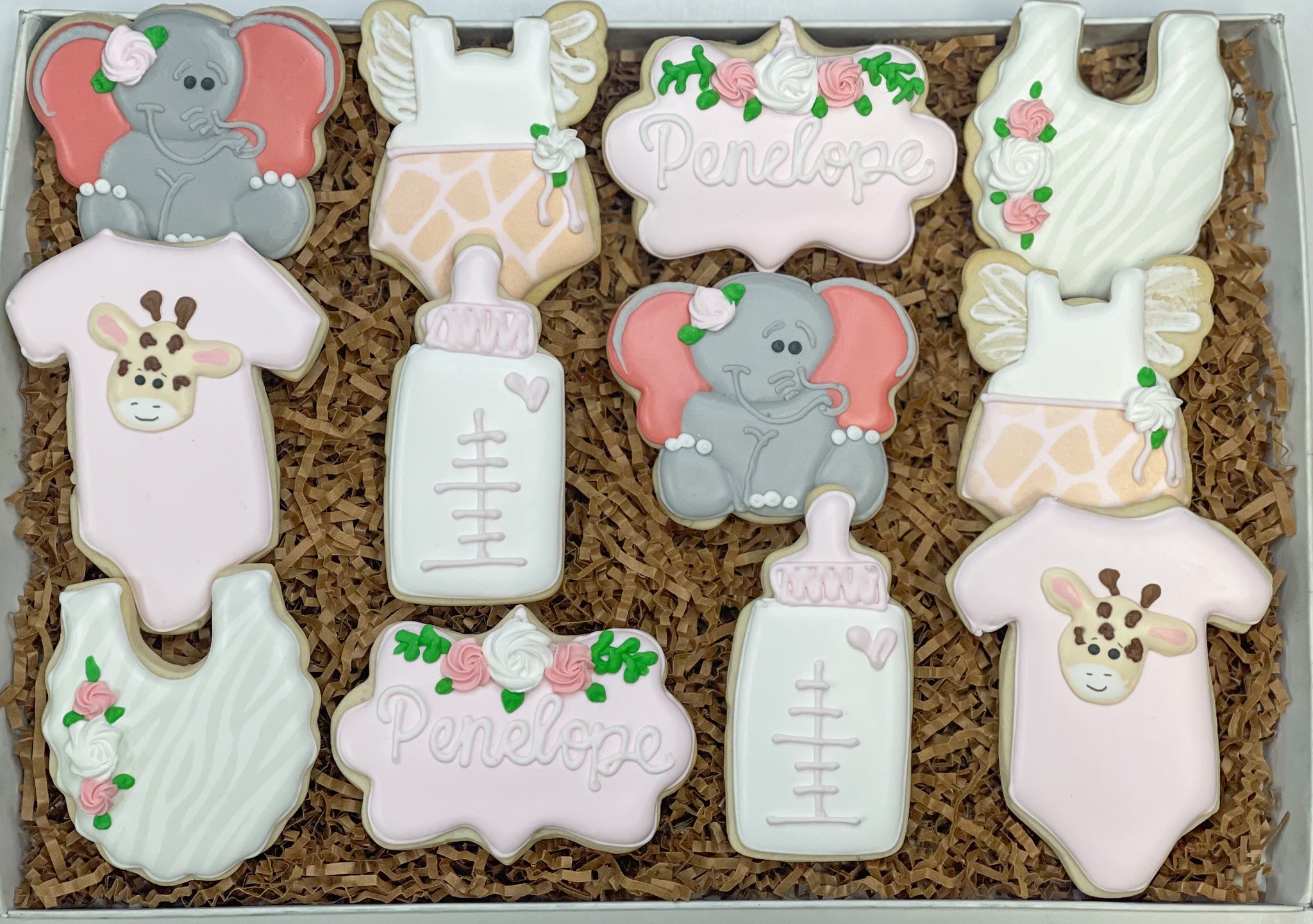 Safari baby shower sugar cookies - 1 Dozen – casebakes cookies